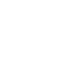 Call Icon